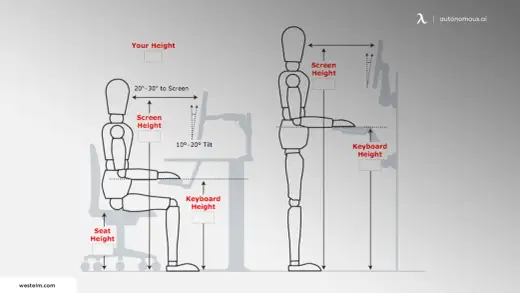 Desk Height Guide - Find Your Perfect Ergonomic Setup